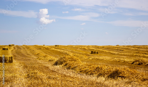 Straw roll bale with crop field, photovoltaic panel and blue sky in background. Enregy, food.