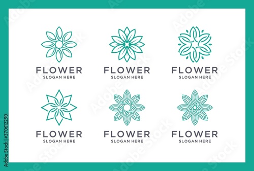flower logo design in bundle premium vector.