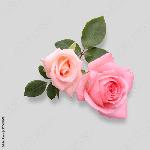 Top View Flower Mockup