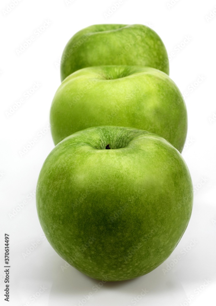 Granny Smith Apple, malus domestica, Fruits against White Background Granny Smith Apple, malus domestica, Fruits against White Background