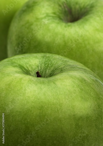 Foto Granny Smith Apple, malus domestica, Close-up of Fruits