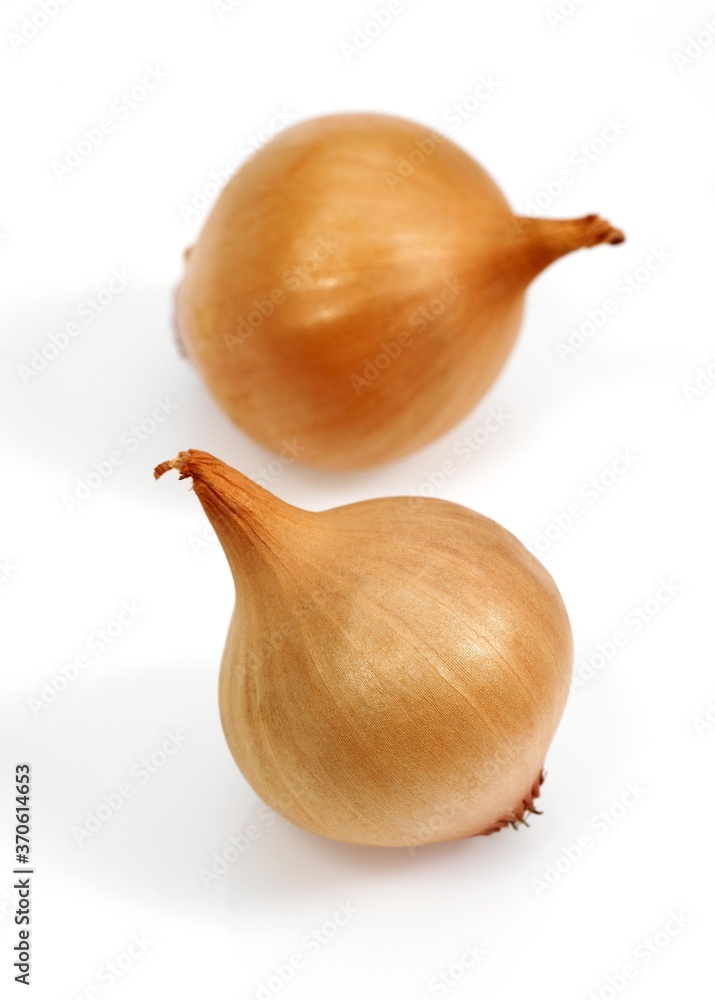 French Onion called Grelot, allium cepa, Vegetables against White Background