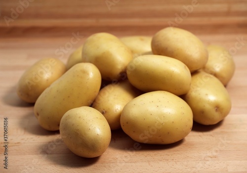Mona Lisa Potato  Solanum tuberosum