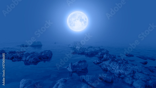 Fototapeta Naklejka Na Ścianę i Meble -  Fantastic landscape with strange stones and moss in the sea with full moon 