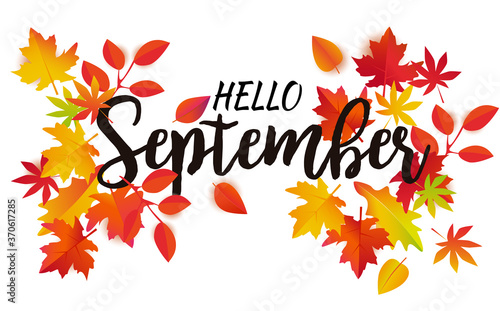 Hello September autumn vector. Beautiful fall leaves and black lettering isolated on white background.