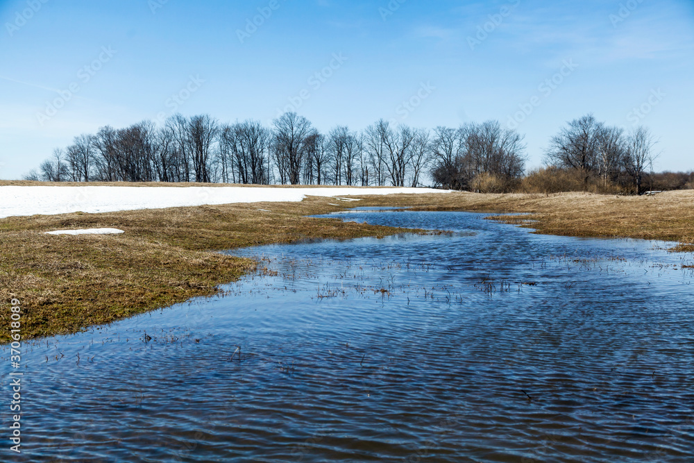 Flooded trees and frozen water in the floodplain of the river at the thaws.