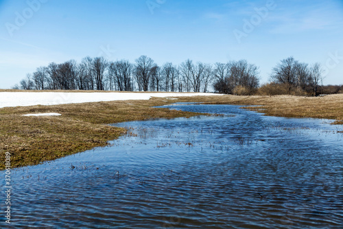 Obraz na płótnie Flooded trees and frozen water in the floodplain of the river at the thaws. w salonie