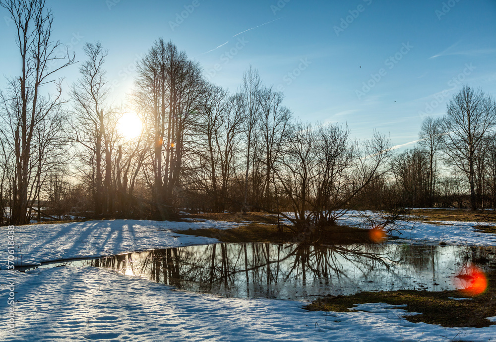 Flooded trees and frozen water in the floodplain of the river at the thaws.