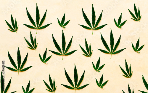 Pattern from hemp leaves on old paper background. Creative space for design.