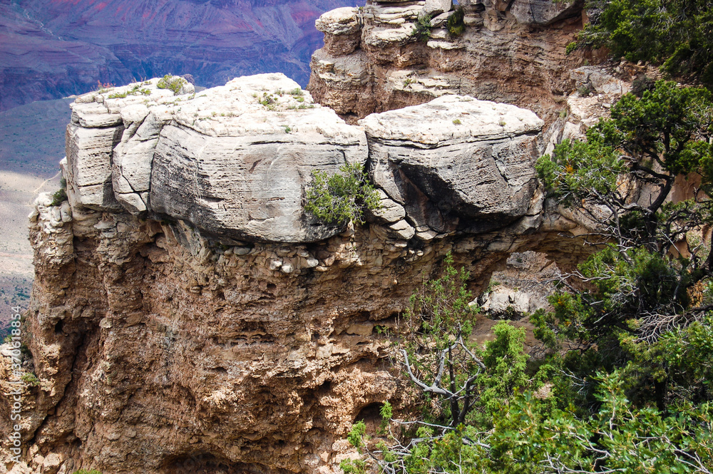 Fototapeta premium The South rim of the Grand Canyon