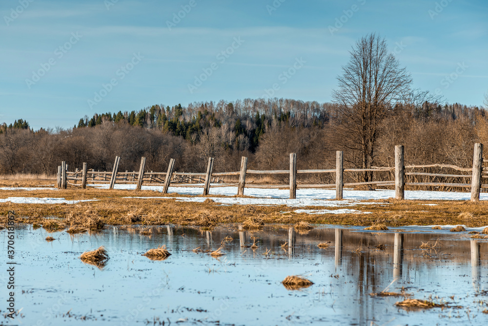 Flooded trees and frozen water in the floodplain of the river at the thaws.