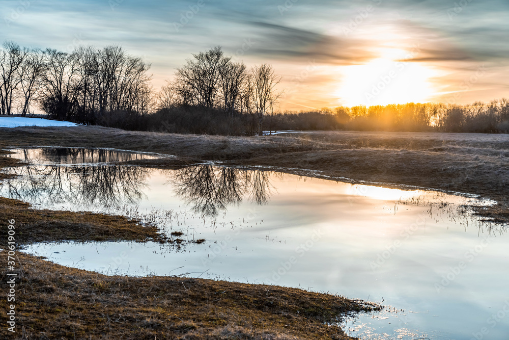 Flooded trees and frozen water in the floodplain of the river at the thaws.