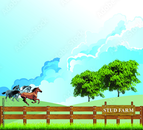 Picturesque rural scene with horses running through a paddock on a breeding stud farm set against a blue cloudy sky