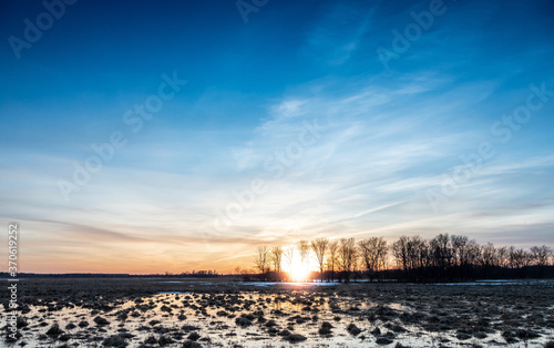 Obraz na płótnie Flooded trees and frozen water in the floodplain of the river at the thaws. w salonie