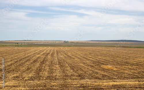 Agricultural field where the harvest was collected. Autumn season