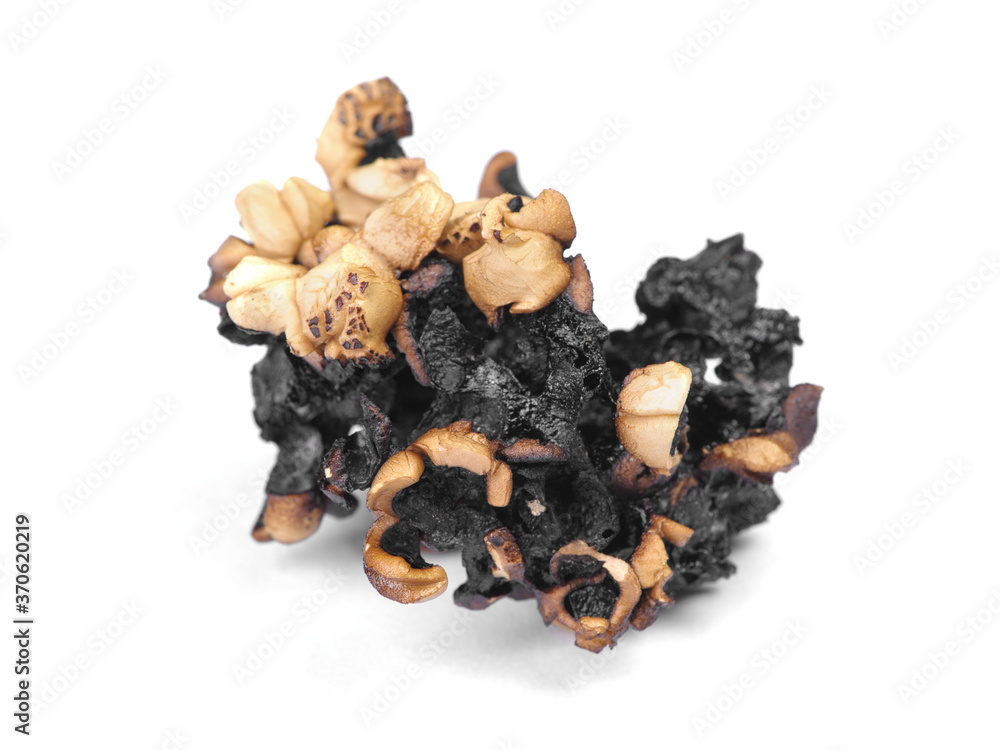 Fototapeta premium Burnt popcorn kernel