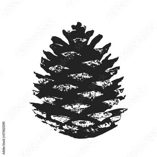 Pinecone Vector, Nature Plant Vector Illustration Background