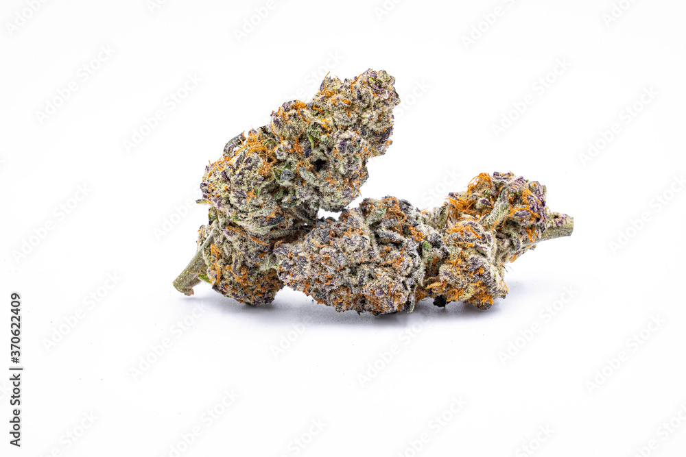 Cannabis Marijuana taken in white background Cannabis Marijuana taken in white background