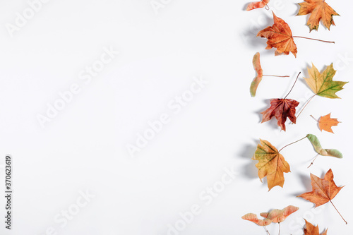 Autumn creative composition. Dried  leaves on white background. Fall concept. Autumn background. Flat lay  top view  copy space