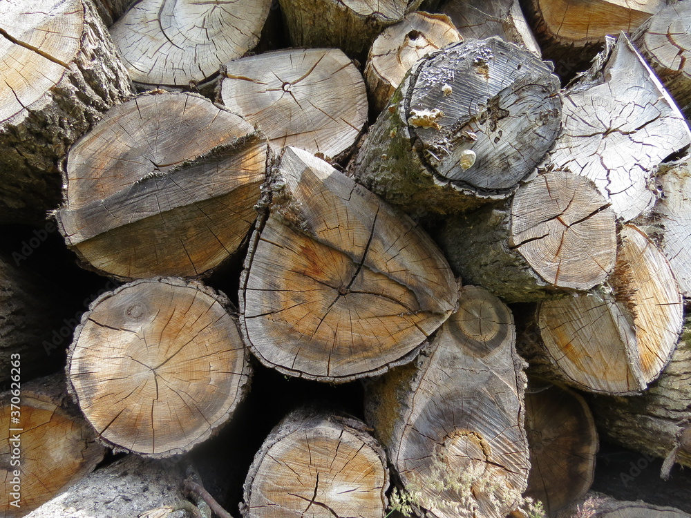 pile of firewood pile of firewood