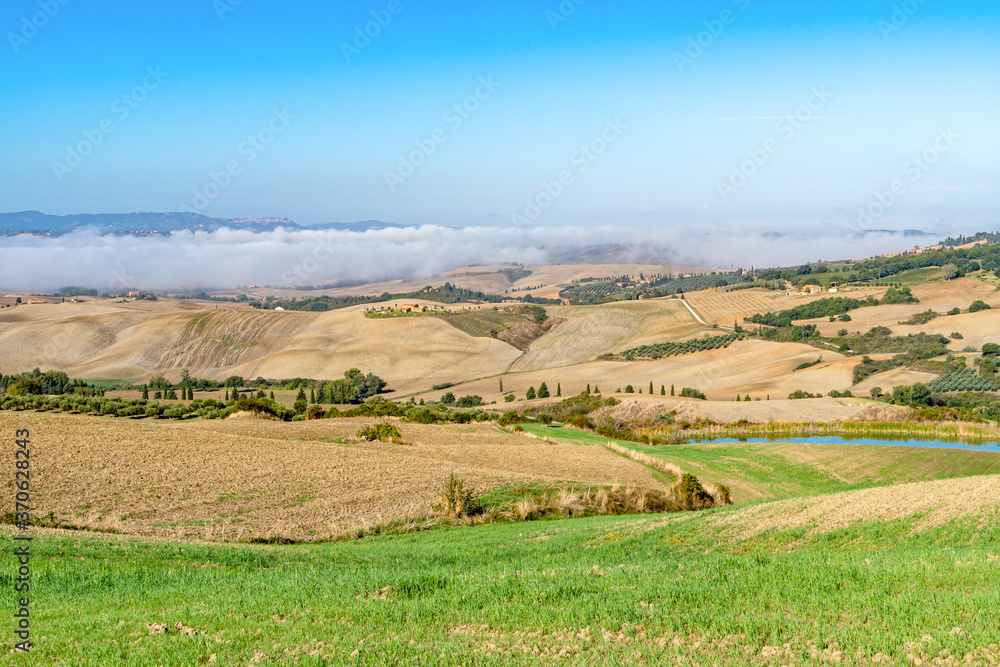 Fototapeta premium Beautiful foggy landscape in Tuscany - wave hills, green grass and morning fog