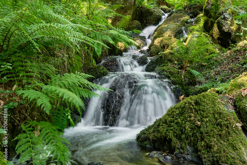 Long esposure of a fresh stream flowing over rocks in a forest photo