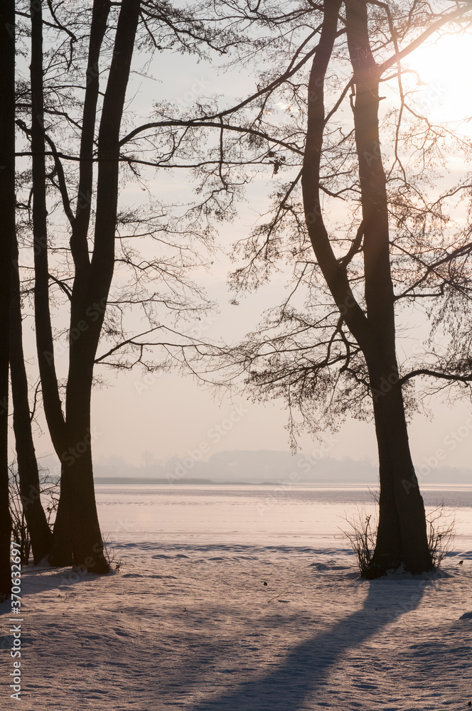 Zamarznięte jezioro po śniegiem, drzewa i słońce
