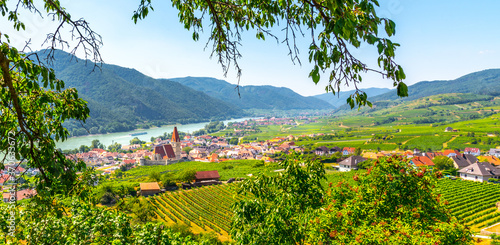 Vászonkép Sunny day in Wachau Valley