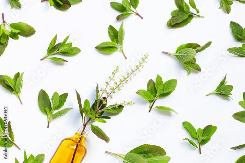 Fresh holy basil  leaves with essential oil bottle on white background.