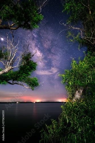 Central Texas Milky Way framed through trees over lake