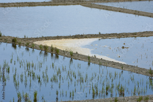 marais salants de l'atlantique photo