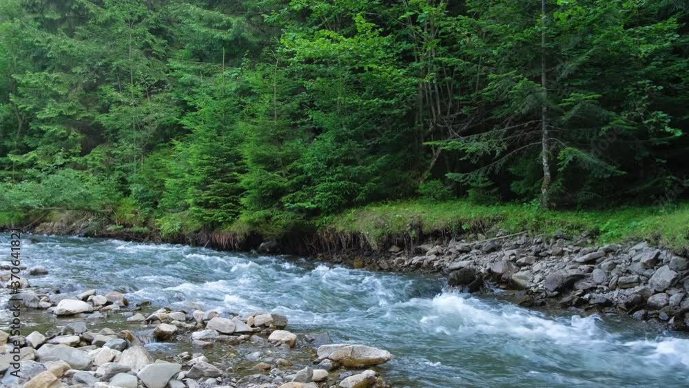 Mountain river against the background of a coniferous forest. Mountain river against the background of a coniferous forest.