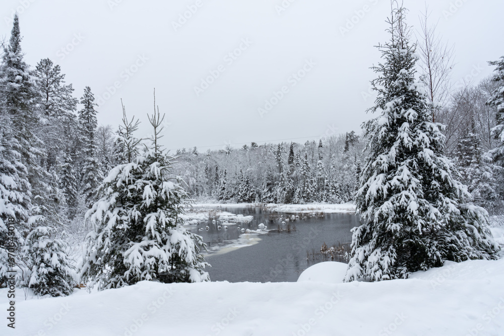 Frozen creek landscape in wintertime