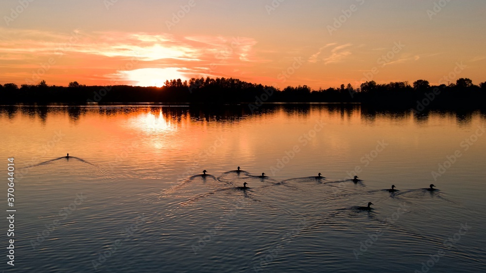 Abendsonne mit Enten auf dem Laupheimer Baggersee