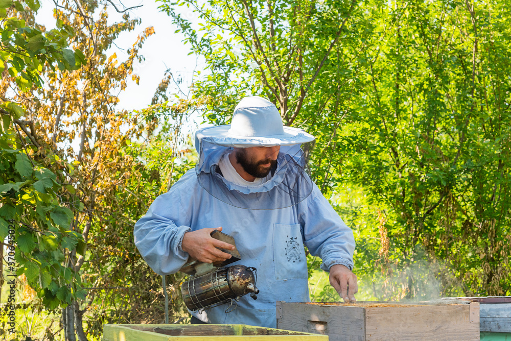 Beekeeper at Work. The beekeeper saves the bees.