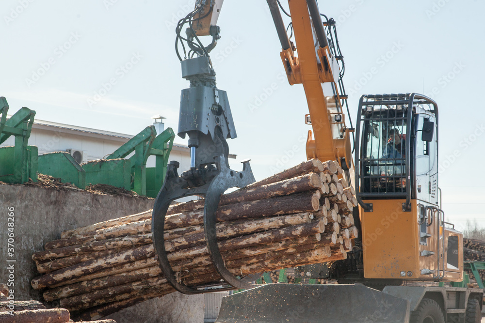 Fototapeta premium Claw of an industrial loader of logs at a sawmill