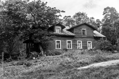 Swall wooden vintage house in forest