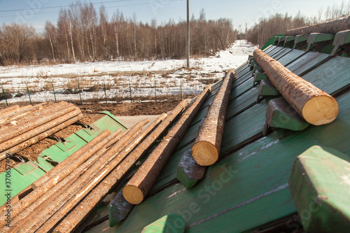 Conveyor for sorting logs at a sawmill