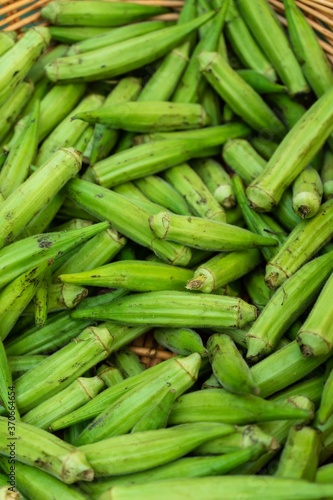 Green Okra