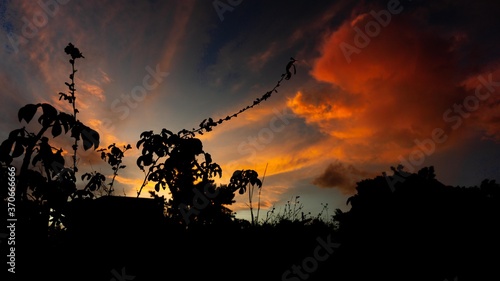 sunset in the forest