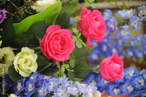 Wallpaper Mural フラワーアレンジメント Torontodigital.ca