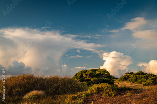Dramatic clouds over empty landscape with coastal plants. 