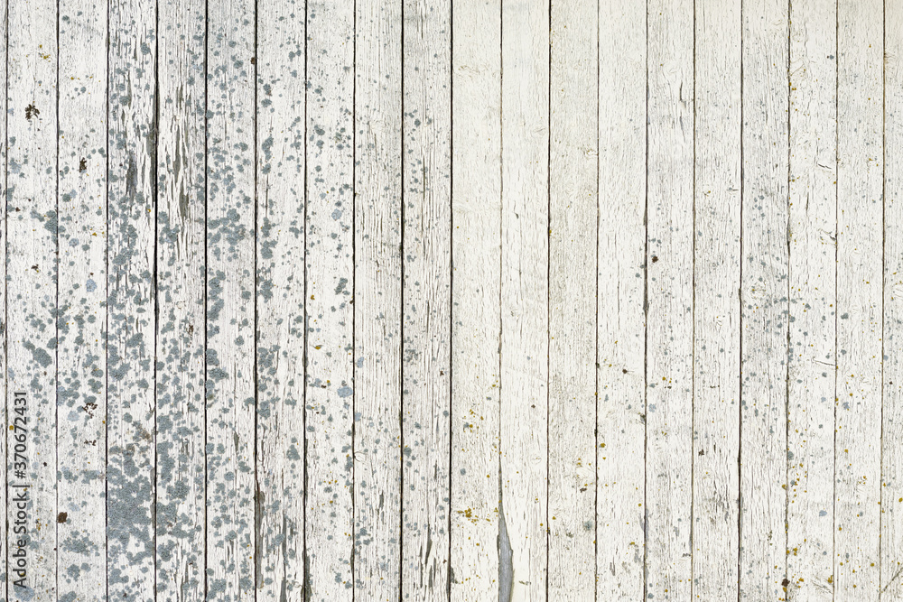 Fototapeta premium Portrait of wooden wall as abstract background