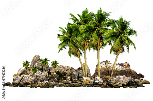 The trees Coconut. Mountain on the island and rocks.Isolated on White background