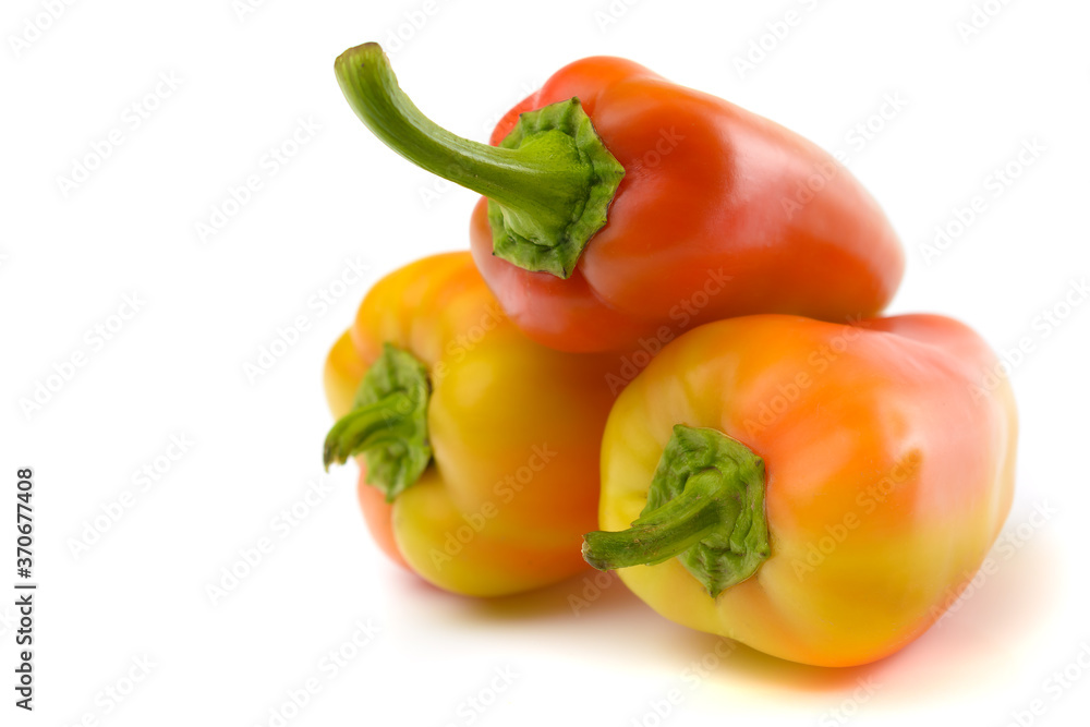 colored sweet pepper close-up on a white isolated background, space for text.horizontal view colored sweet pepper close-up on a white isolated background, space for text.horizontal view
