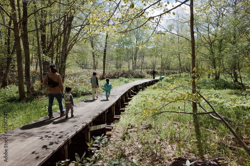 西岡公園の散策路