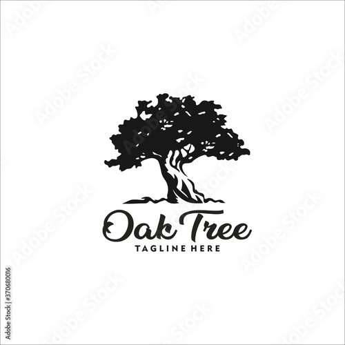 oak tree logo design template silhouette vector photo