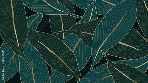 Luxury gold and nature green background vector. Floral pattern, Calathea lutea,Tropical foliage,Exotic tropical leaf, Calathea leaf line arts, Vector illustration.