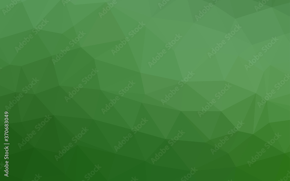 Light Green vector polygonal background. Light Green vector polygonal background.