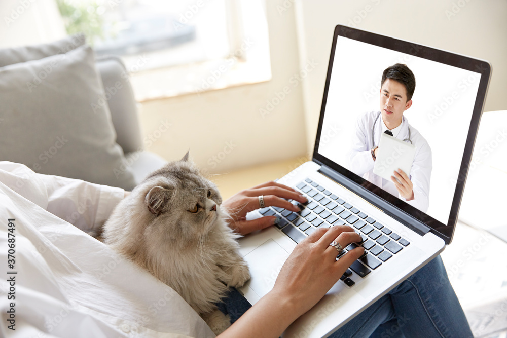 young asian woman talking to doctor via video call using laptop computer young asian woman talking to doctor via video call using laptop computer